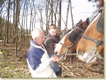 20080324-09 Paaseieren zoeken